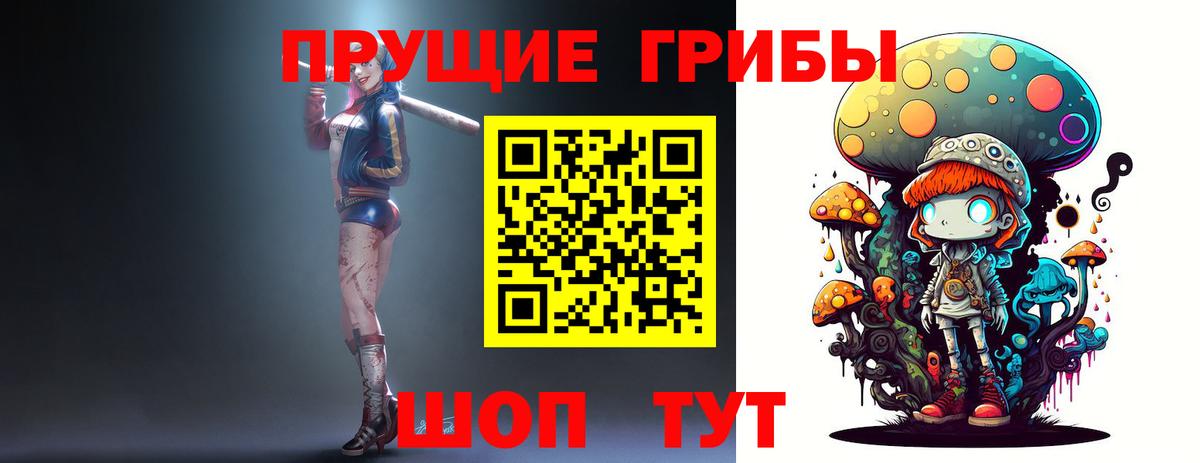 Галлюциногенные грибы Psilocybine cubensis  Вход с VPN  Сызрань 